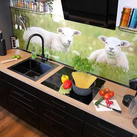 Deichbude 13 Im Hochhaus Apartmán *